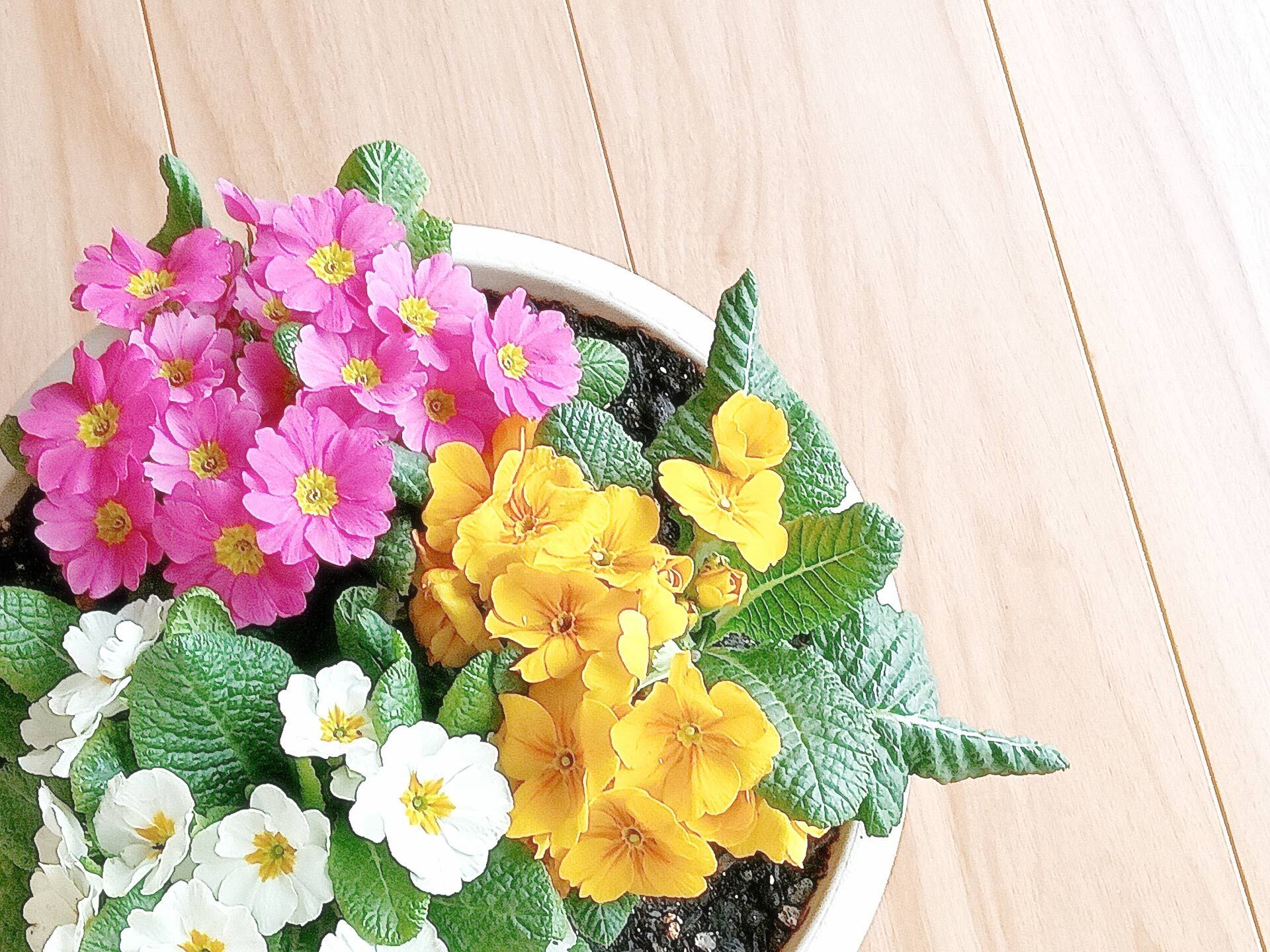 店名に込めた花言葉と信頼への想い